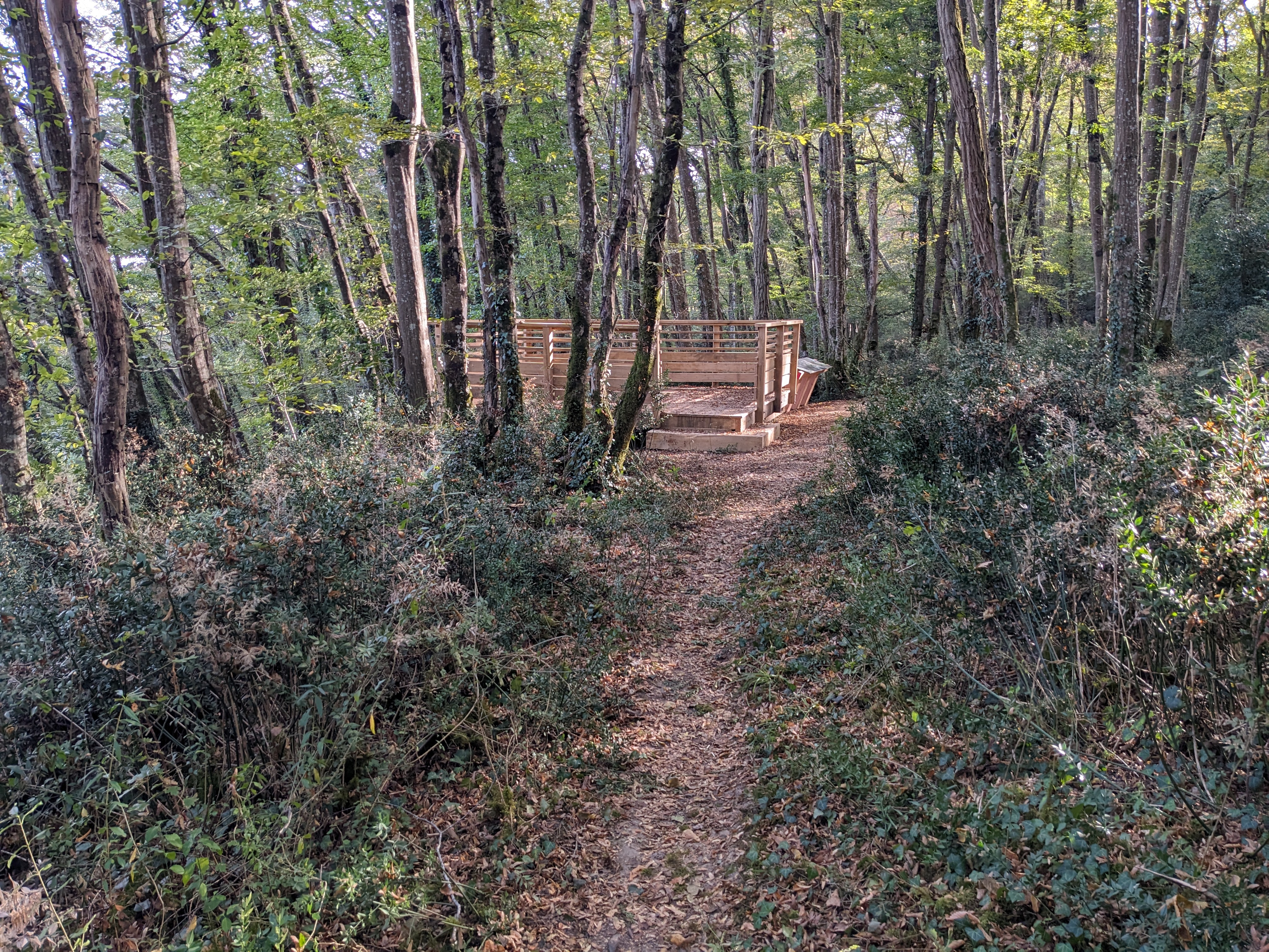 parcours bois de la pimpine