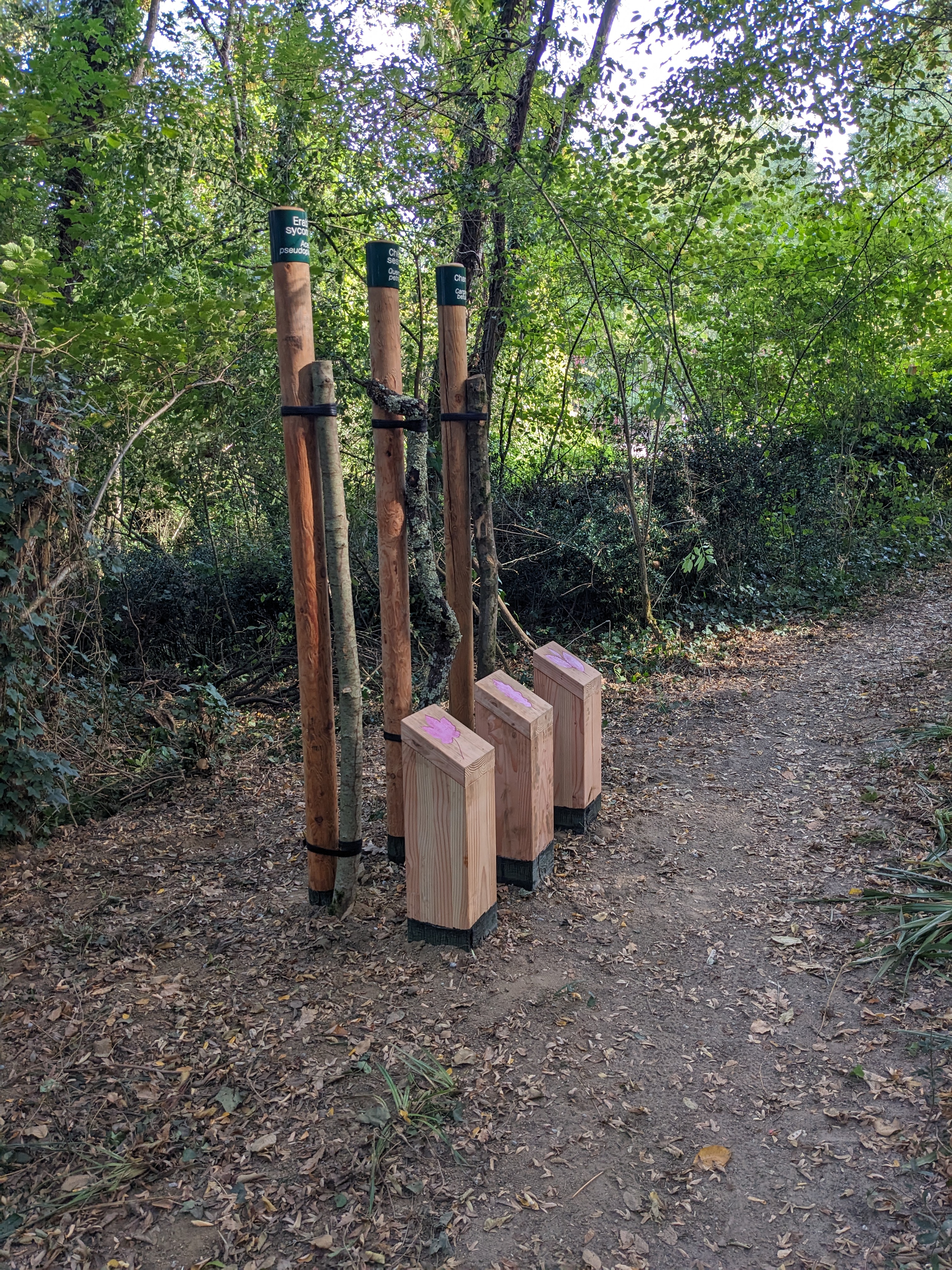 parcours bois de la pimpine