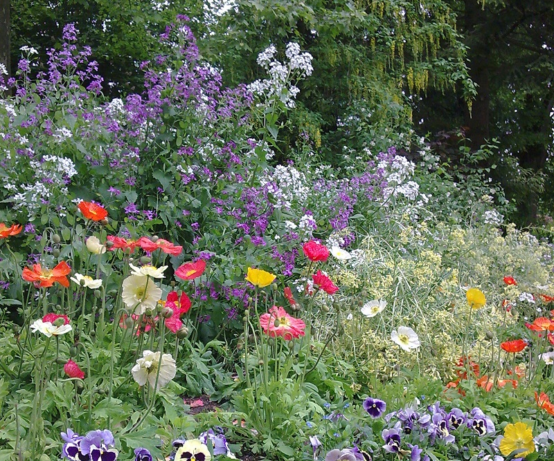 Perigueux-jardin-des-arenes-massif-de-fleurs-office-de-tourisme-de-perigueux-2