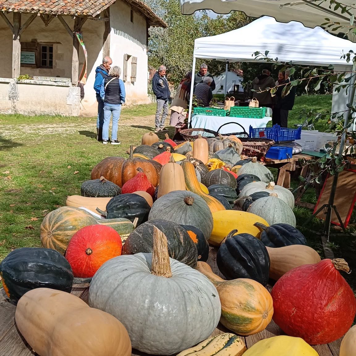 Fête de l'automne - Ferme du Parcot