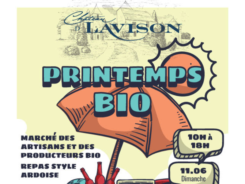 Château Lavison