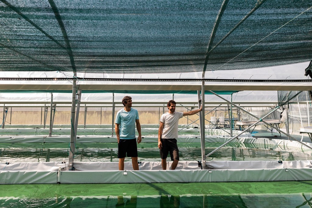 Ici, nos savoir-faire - Visite Spir'up - Spiruline des Pyrénées
