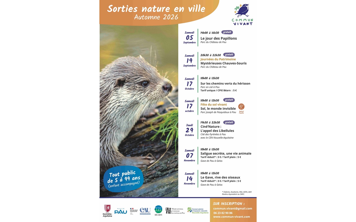 Mystérieuses Chauve-Souris