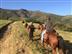 Le sentier des contrebandiers - ... - Crédit: @Sirtaqui Cf. Office de Tourisme Pays Basque