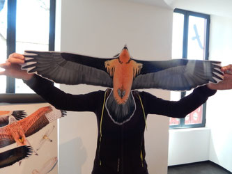 Exposition : L'as-tu vu ? Rapaces en Pyrénées  ...