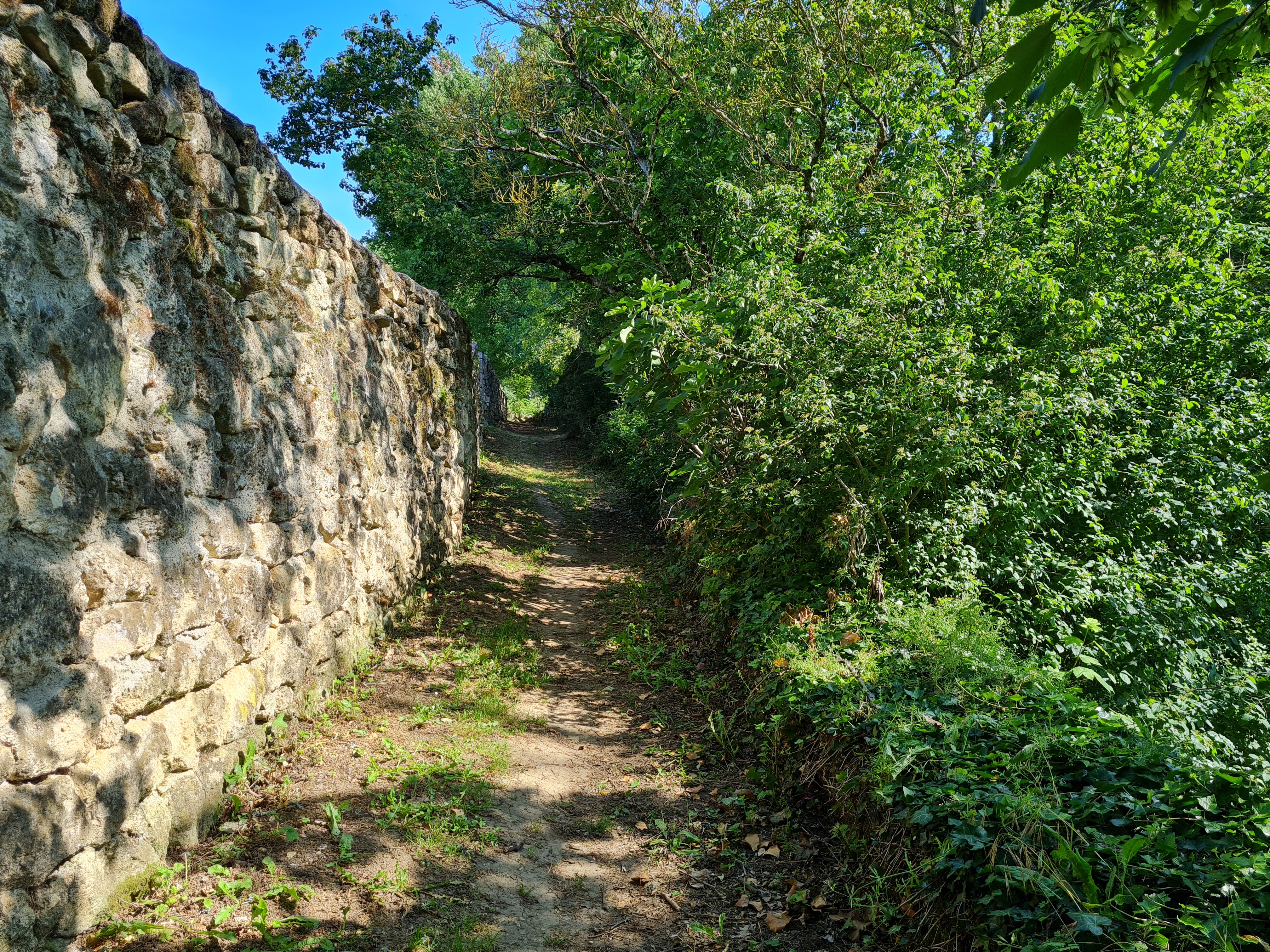 Variante de la boucle VTT des Vaillants