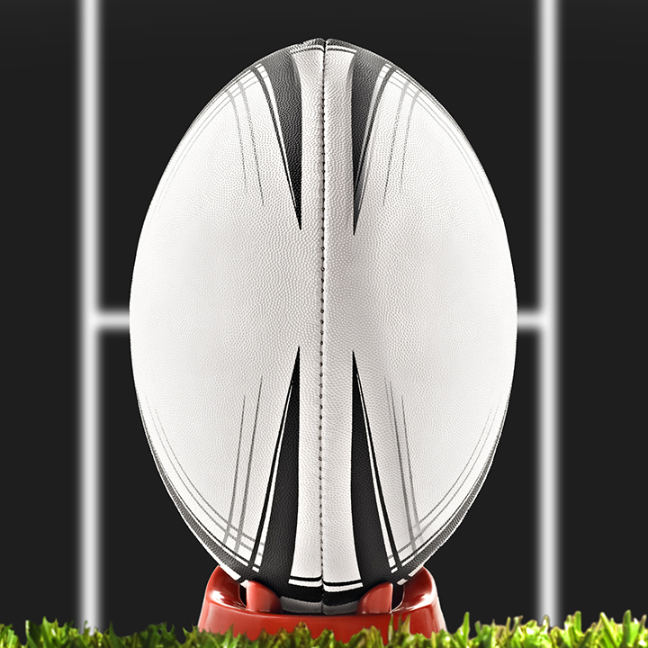 Match de rugby