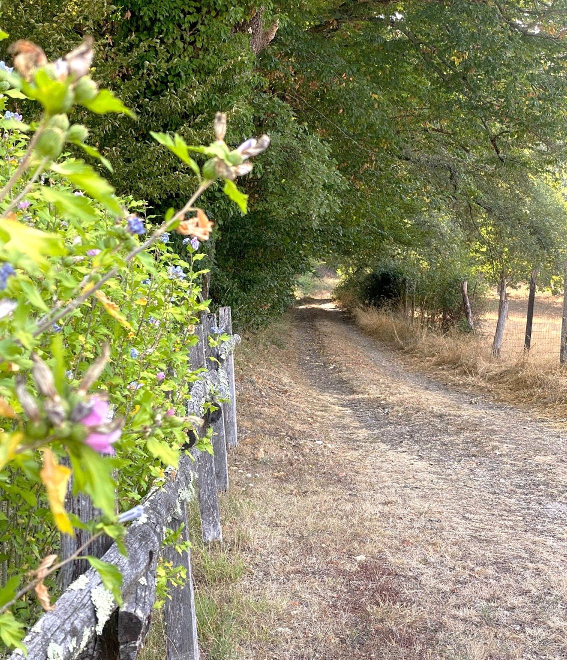 Boucle de la Mazille