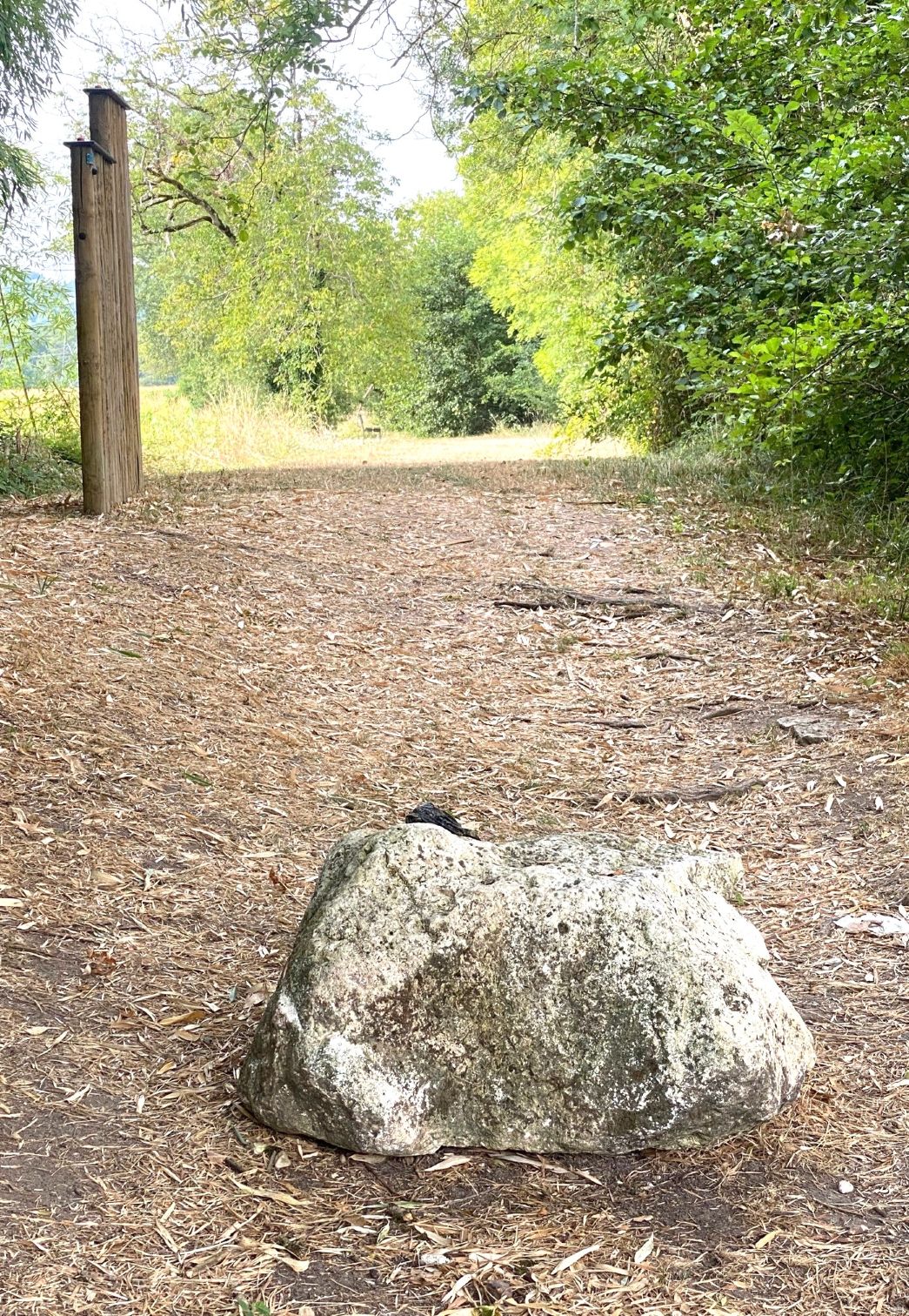 Boucle des Coteaux Sud