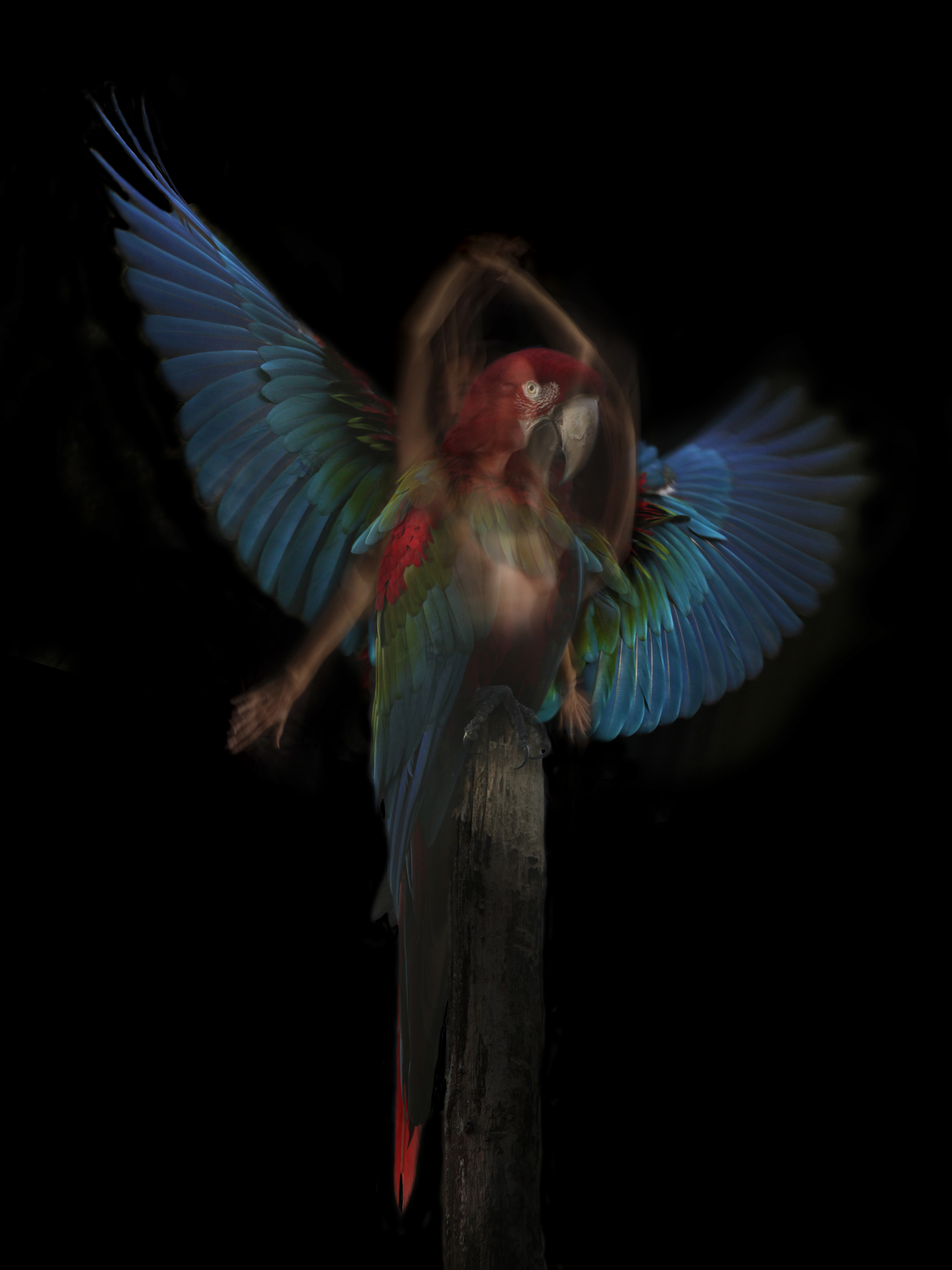 Exposition de photographies de Sandie Louit