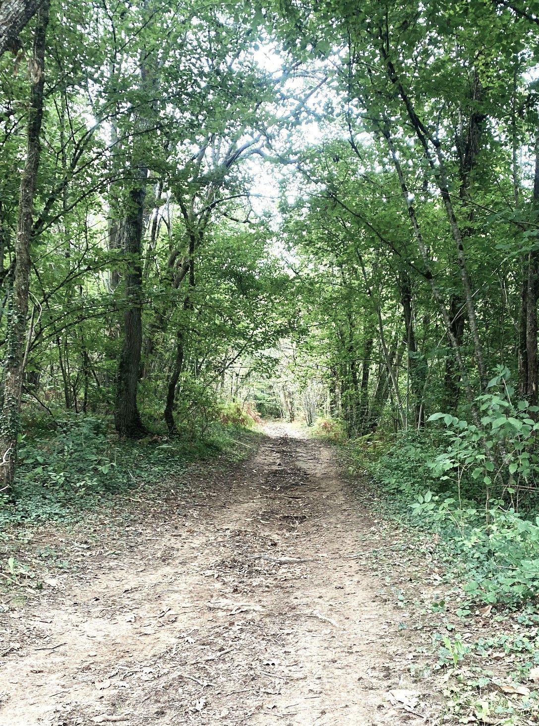 Boucle de Raunel Siorac en Périgord