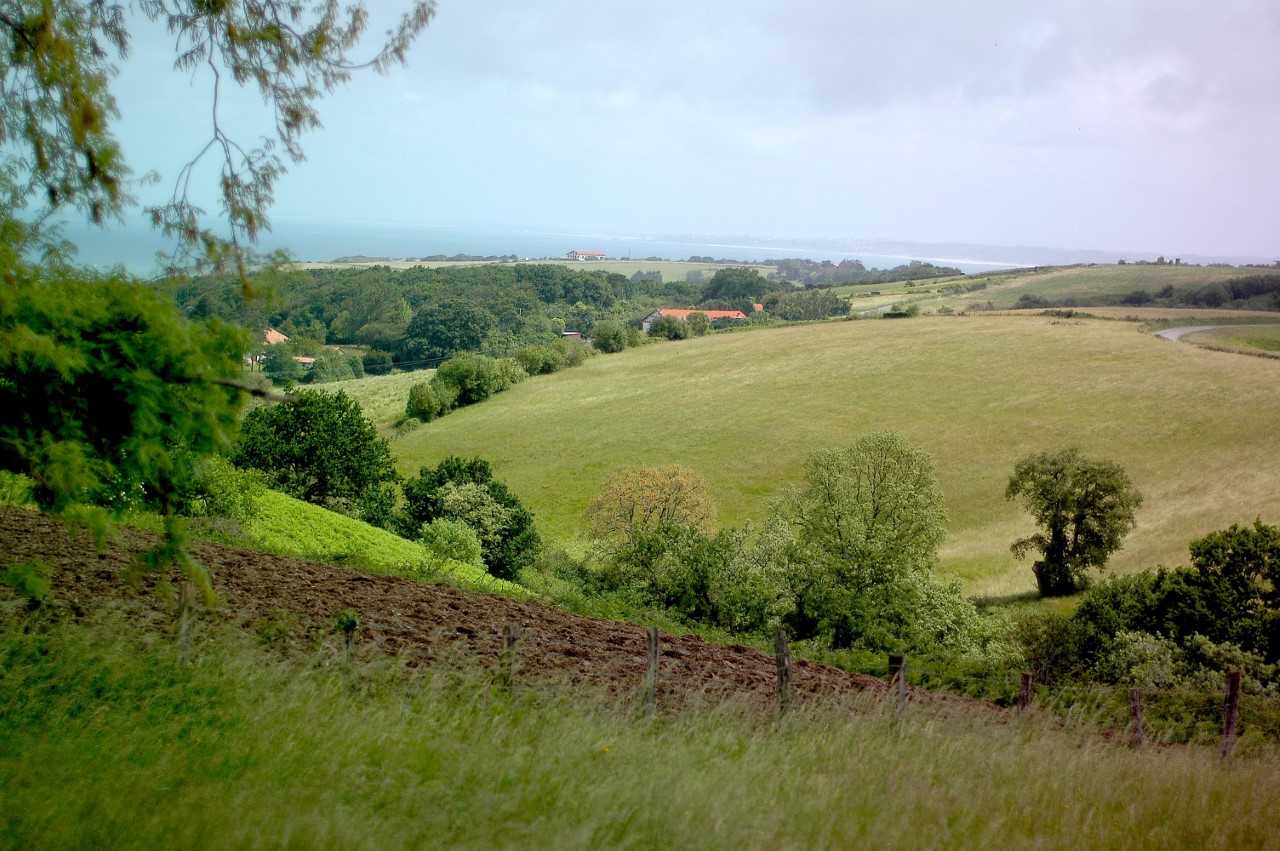 Paysage, risques littoraux et adaptation aux c ...