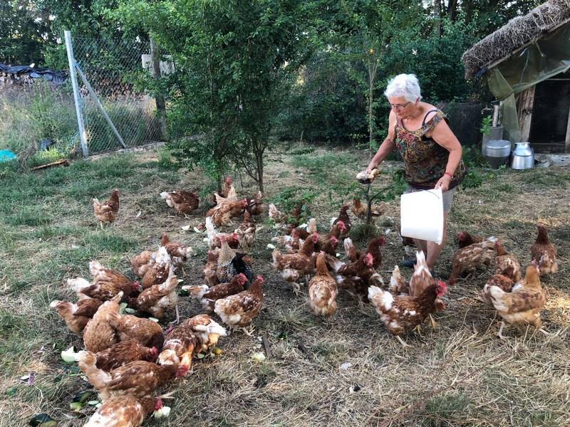 Ferme Bio de Crozefond