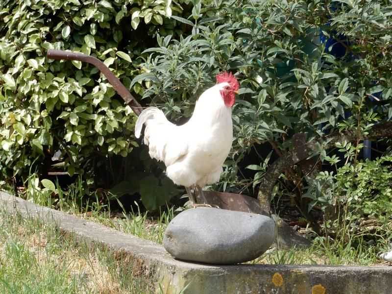 Ferme Bio de Crozefond