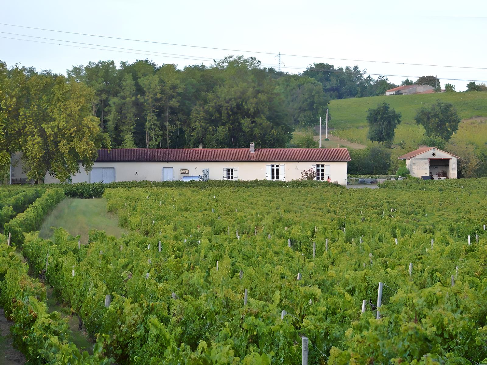 Salle du vignoble Pestoury