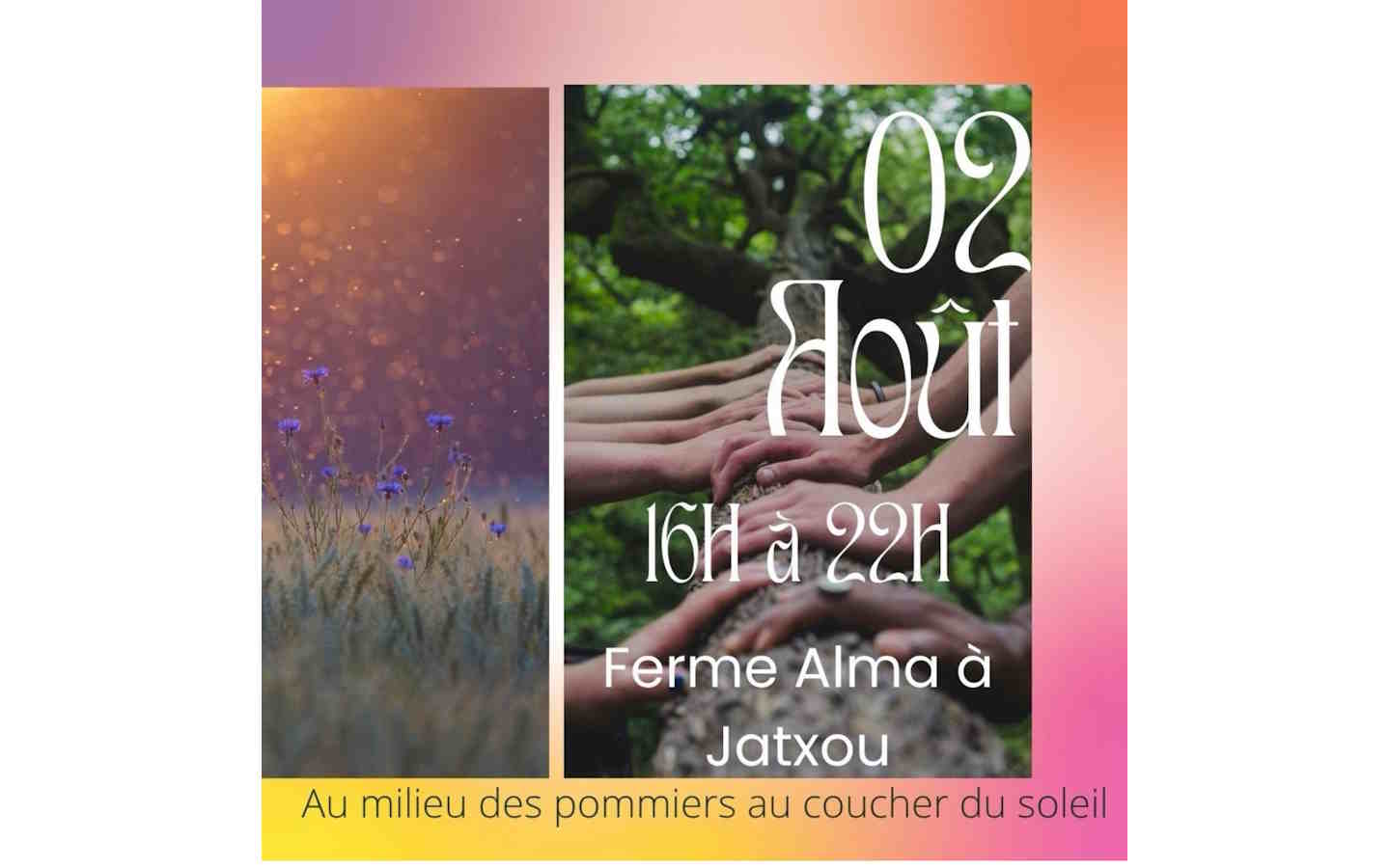 Danse et sens