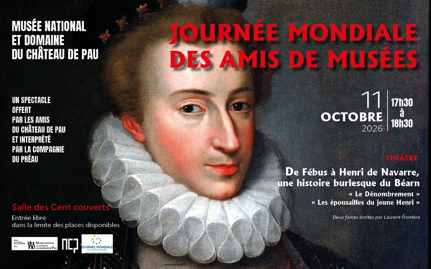 De Fébus à Henri de Navarre, une histoire burl ...