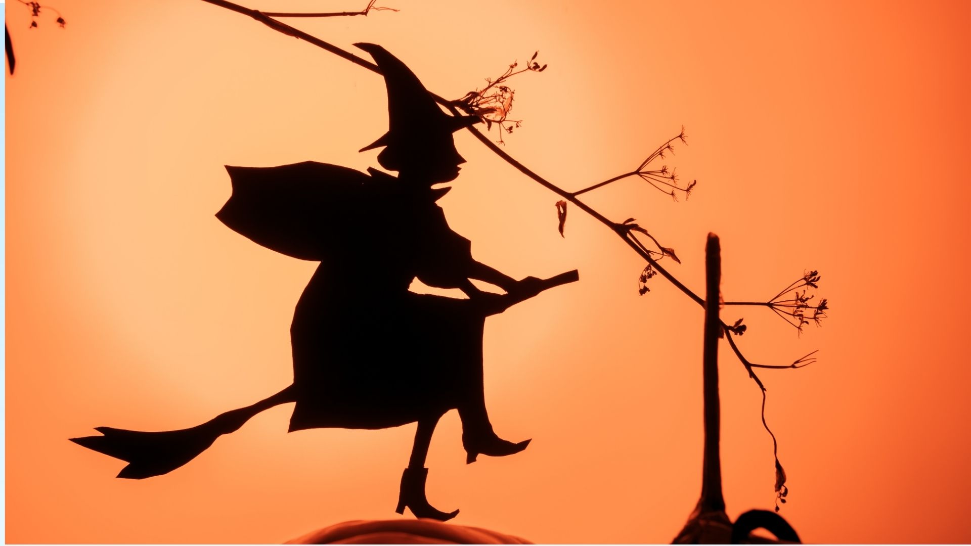 Exposition : Sorcières