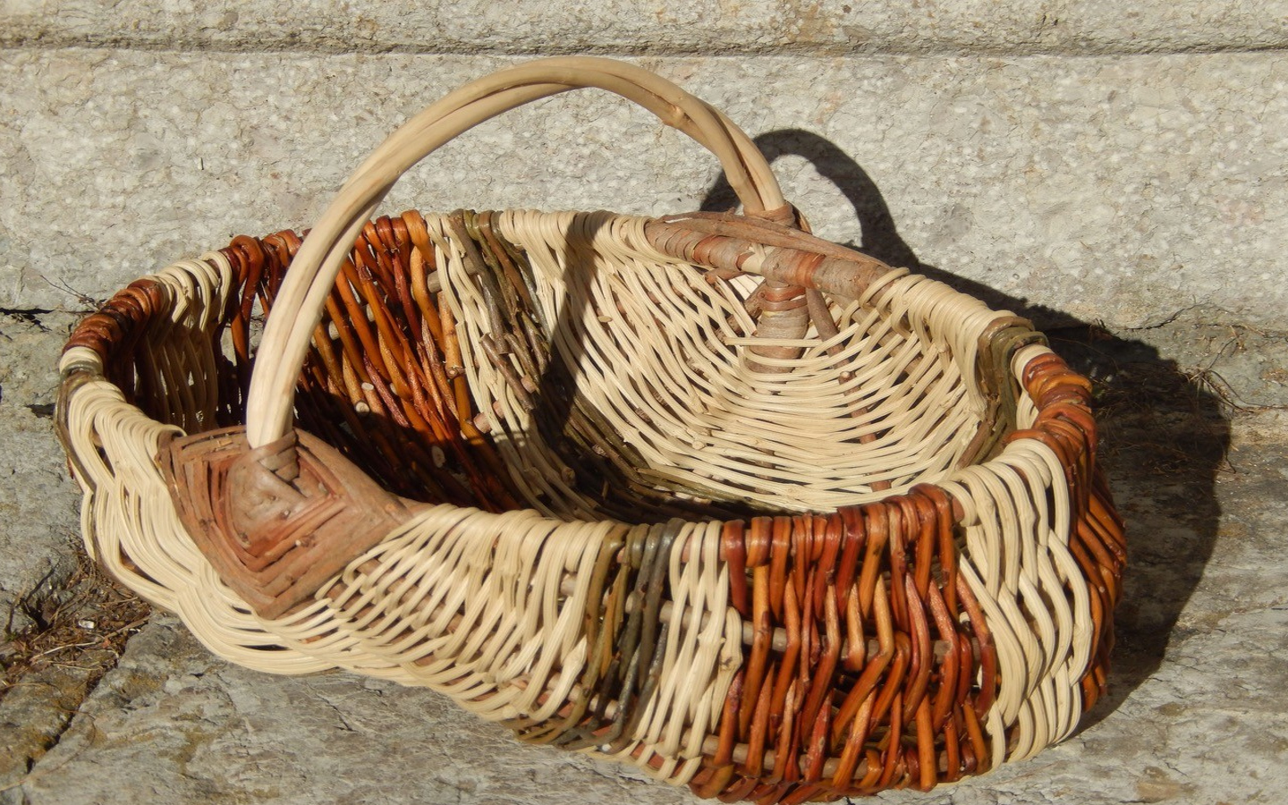 Stage de vannerie : le panier sur arceaux