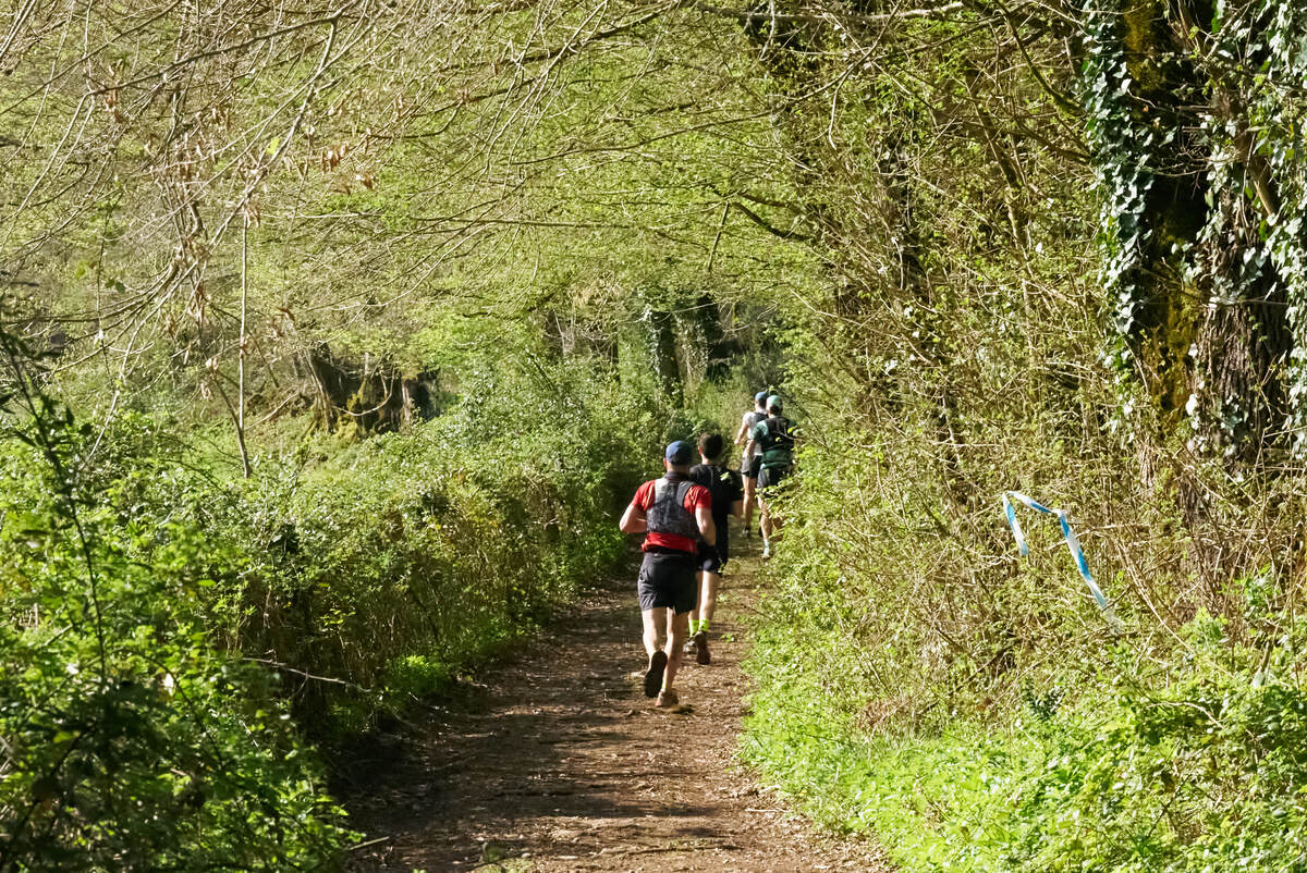 Parcours Trail Saint-Léon sur Vézère n°9