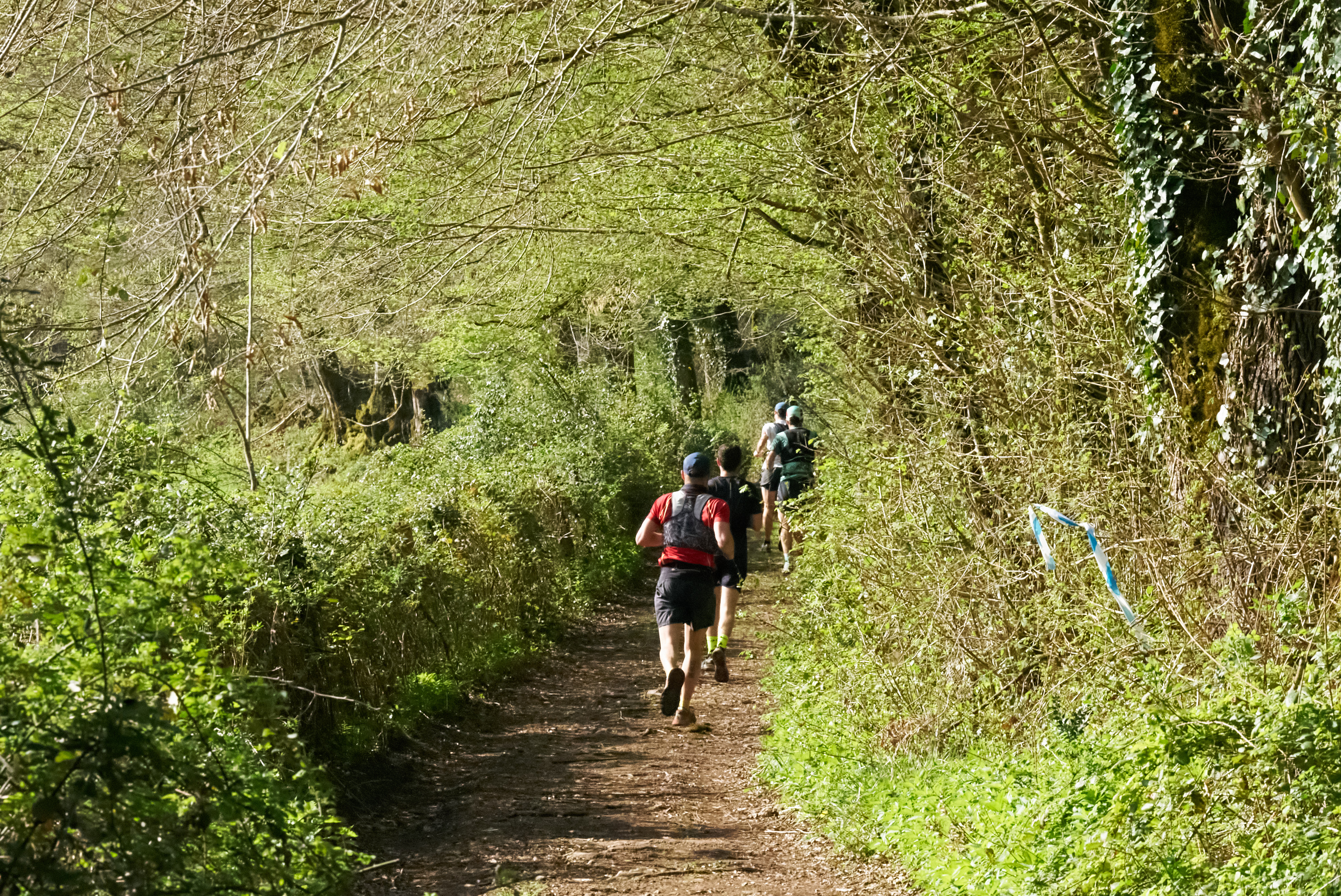 Parcours Trail Saint-Léon sur Vézère n°9