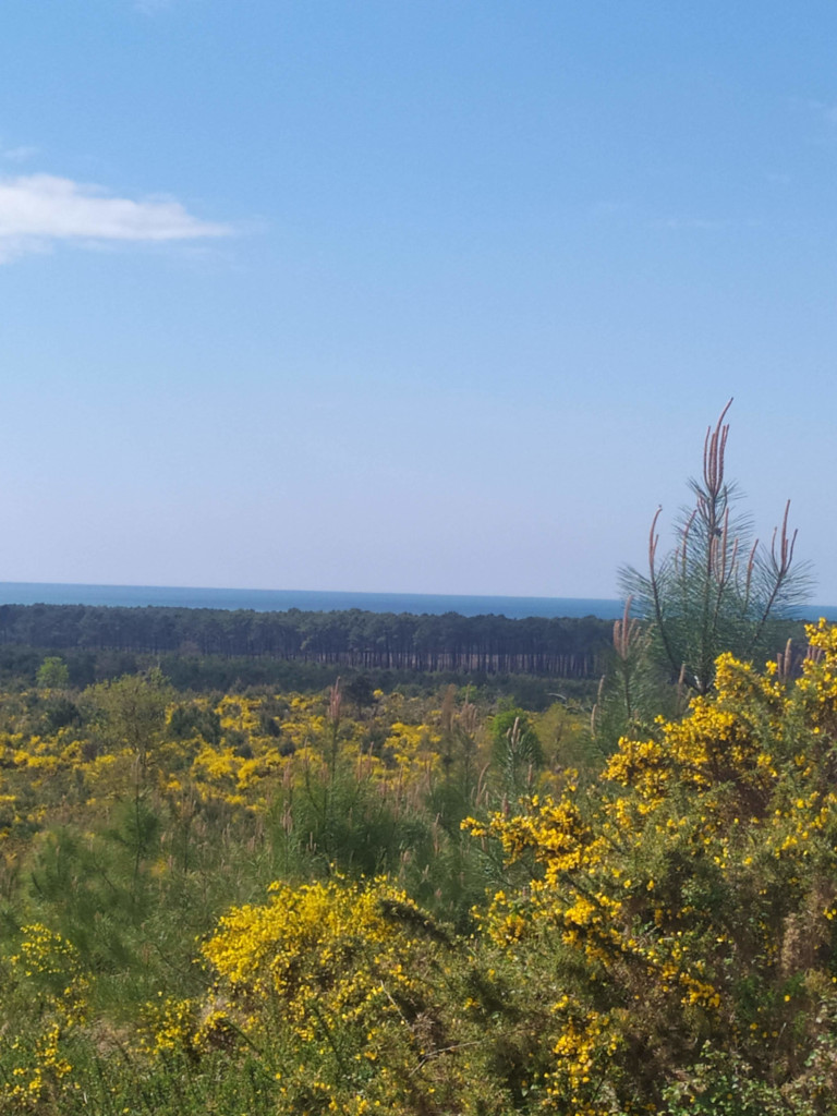 A Vielle-Saint-Girons, circuit des Bareuyes