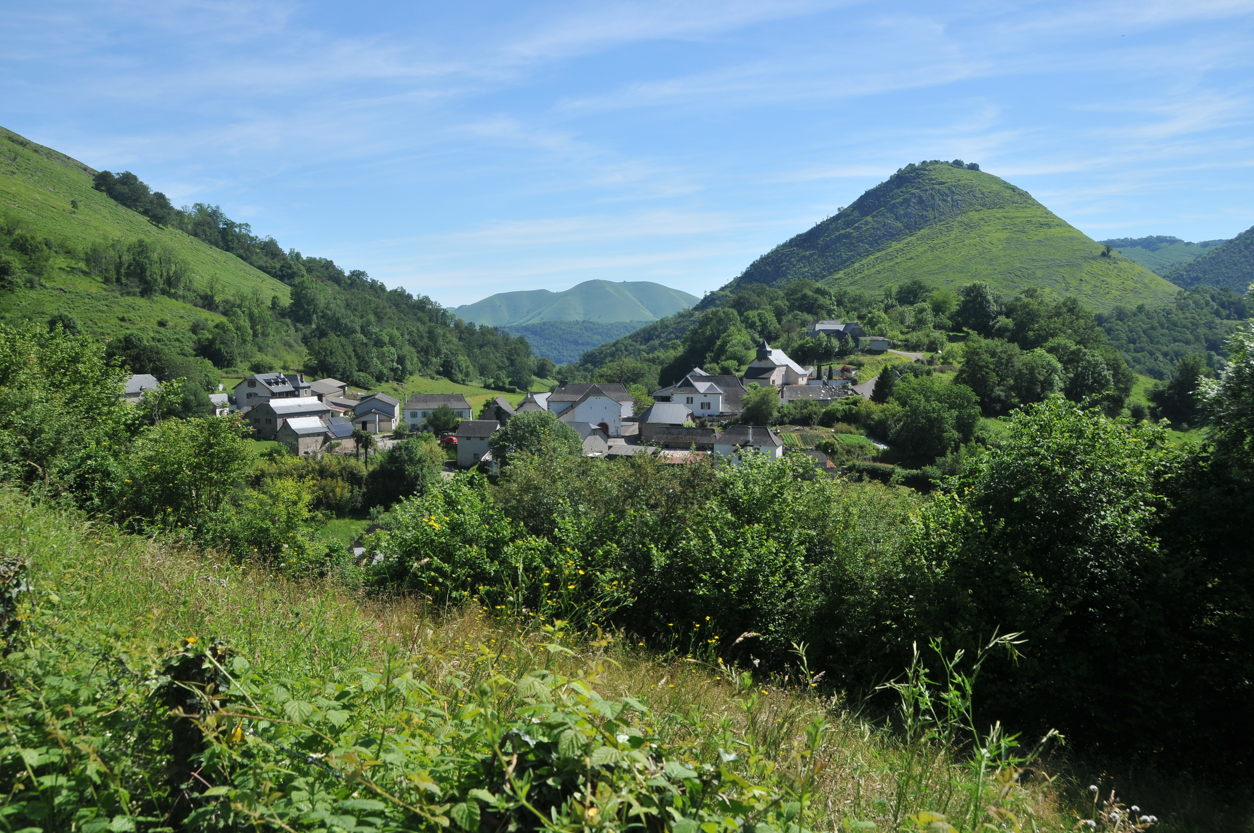 11 - Zünharre