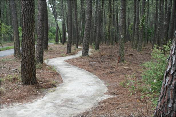 Piste Cyclable de La Lette Blanche