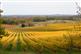 Boucle autour de la vigne à Col ... - Crédit: @Sirtaqui Cf. Office de Tourisme Bergerac - Quai Cyrano