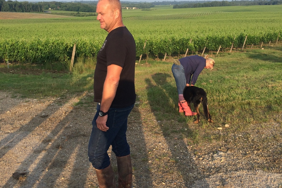 Vignobles Alain DUFOURG