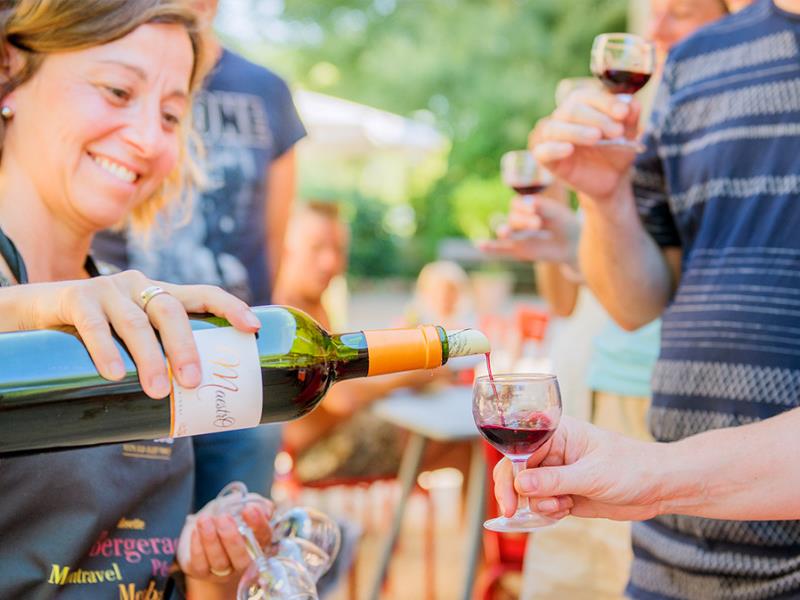 Vigne et vin découverte | Domaine du Siorac