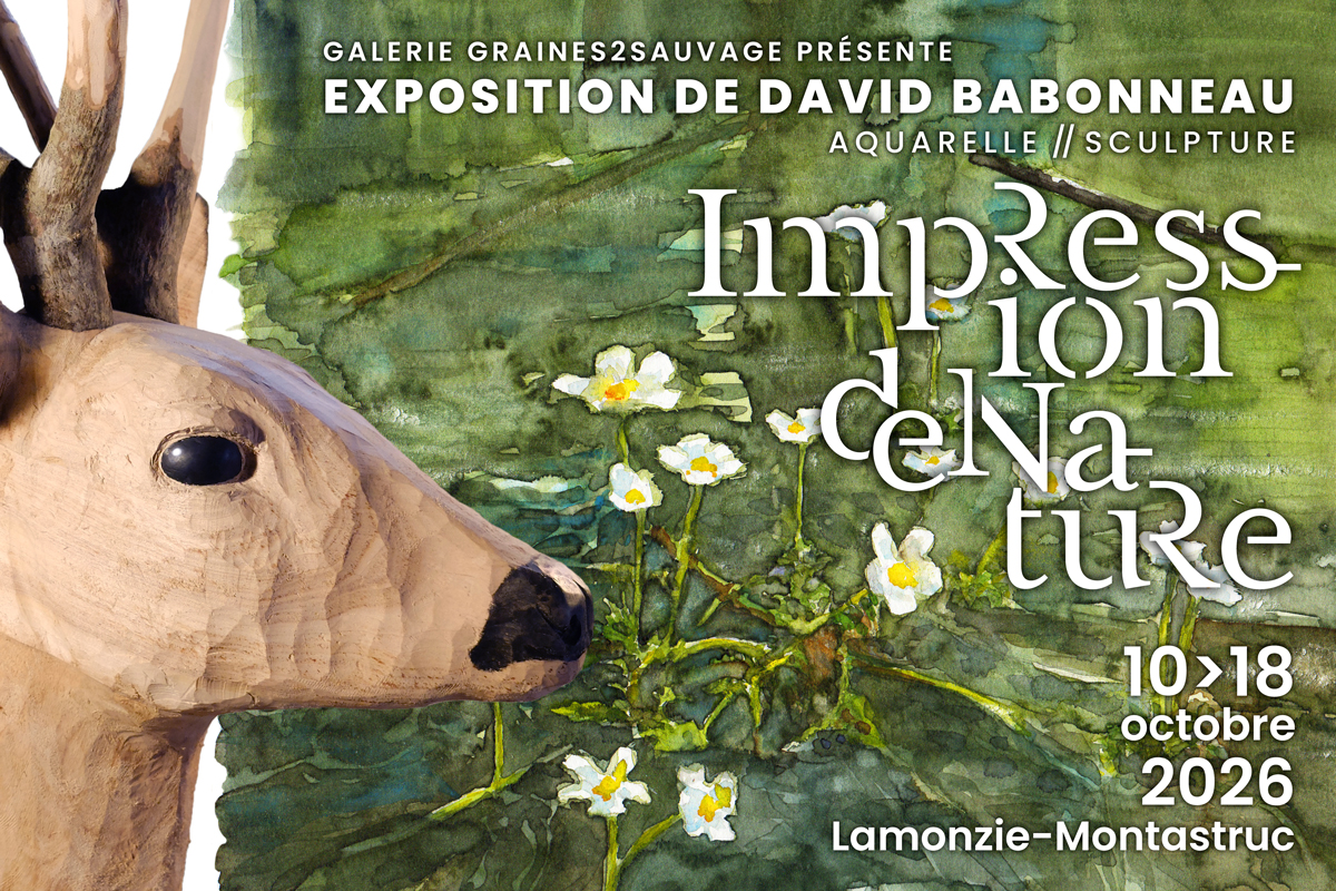 Exposition d’aquarelles et de sculpture "Impression de nature"