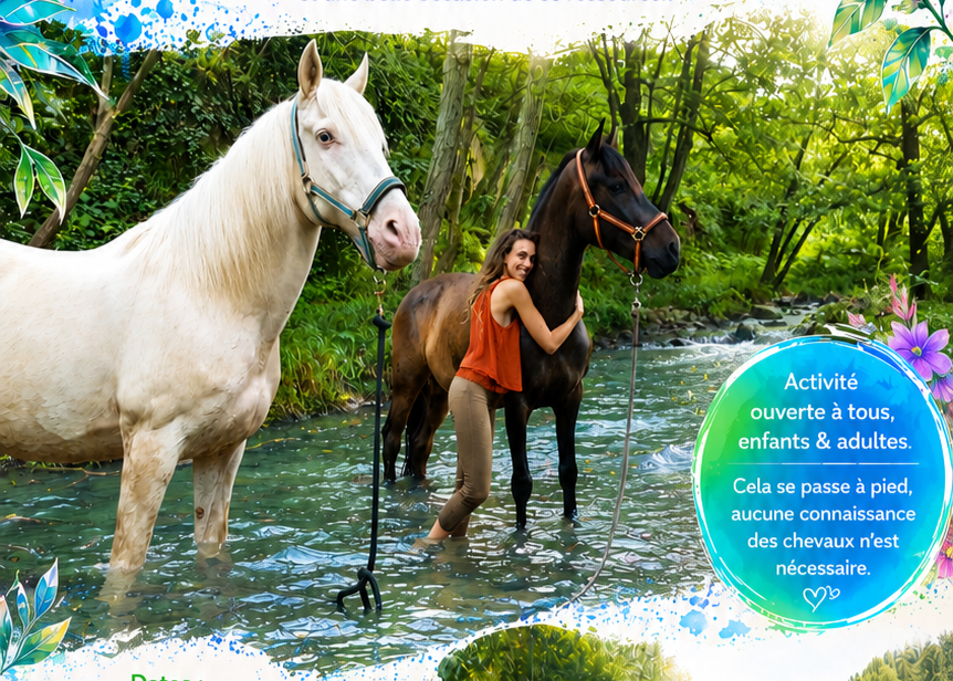 Baignade et détente avec les chevaux