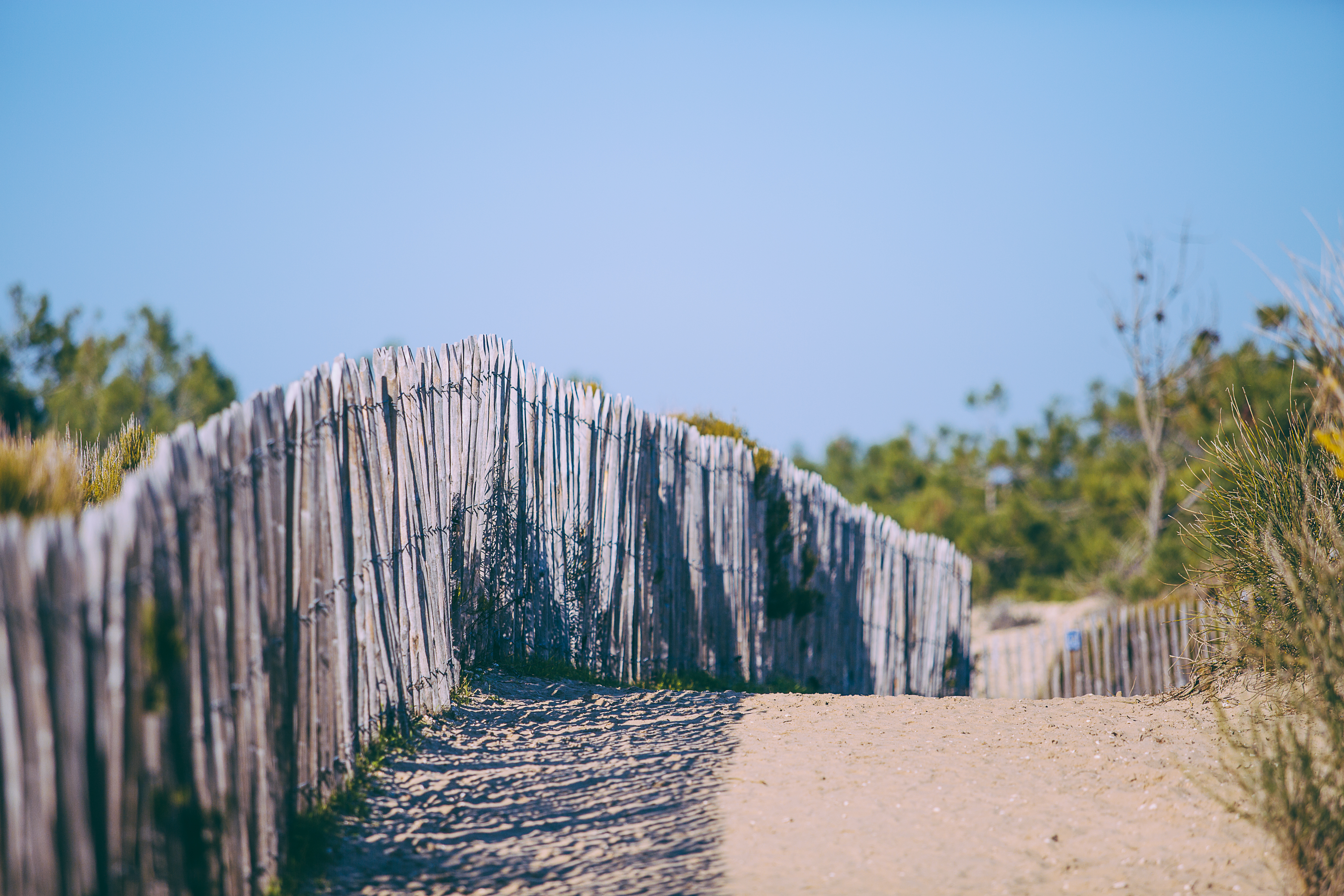 L'abécédaire des Dunes du Cap Ferret