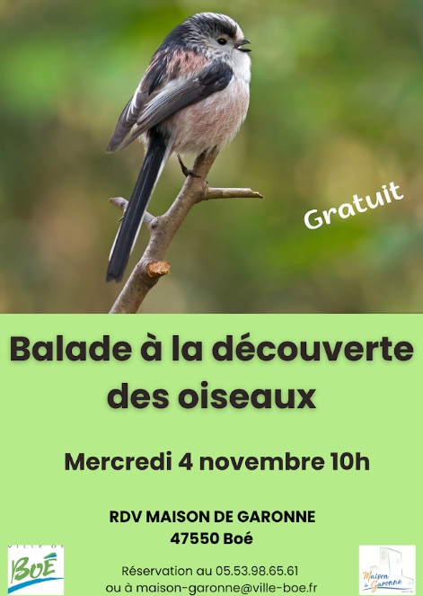Balade nature à la découverte des oiseaux