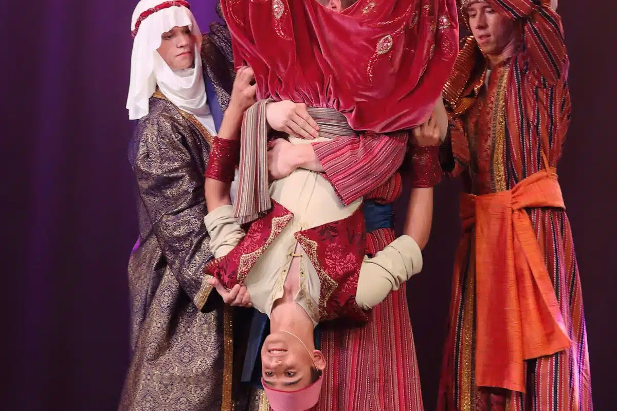 Cirque/danse | Aladdin