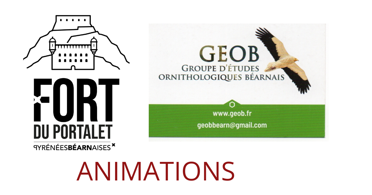 Les Rdv ornithologiques du mercredi