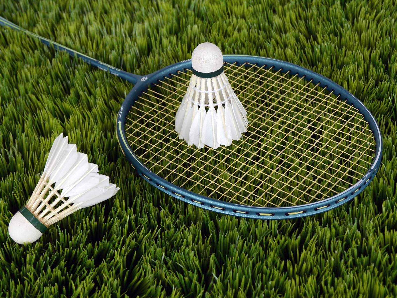 Les Lundis de Cap 33 : Tournois de Badminton
