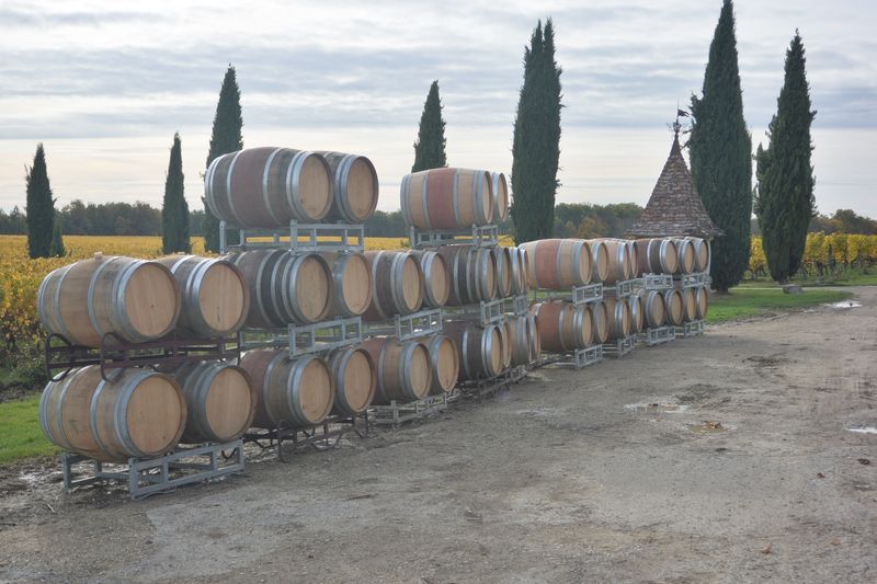 Boucle autour de la vigne à Colombier