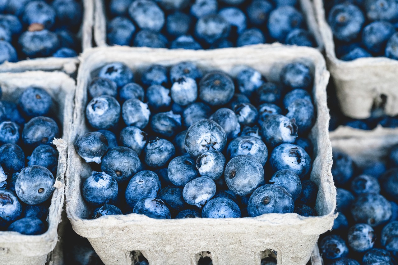 blueberries-1326154_1280