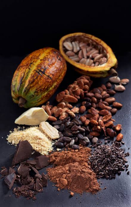Le conte du cacao : déambulation contée matinale