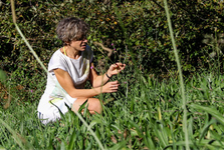 Village des Sciences - Balade botanique “Plant ...