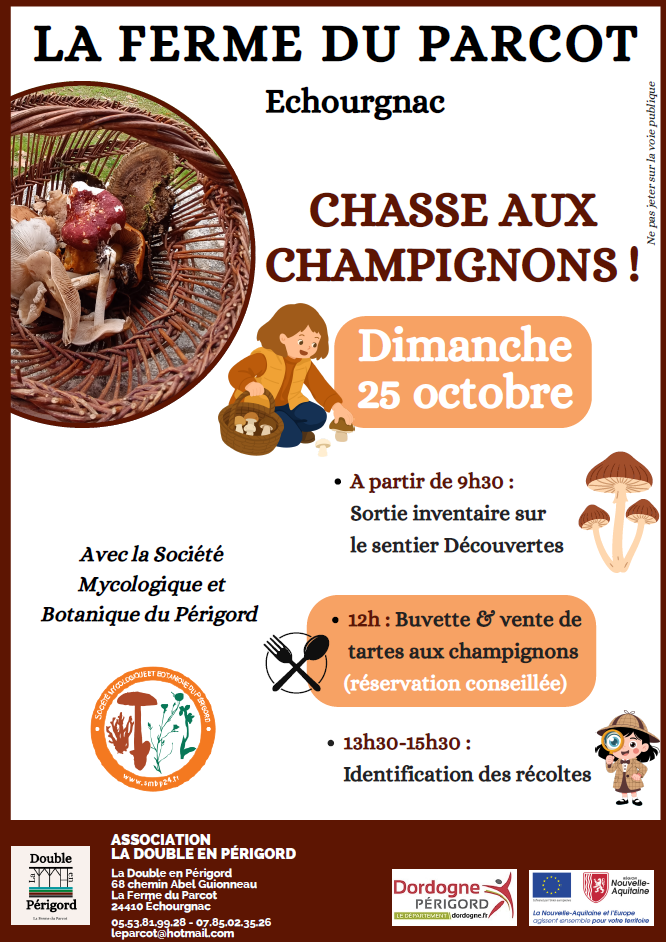 Chasse aux champignons