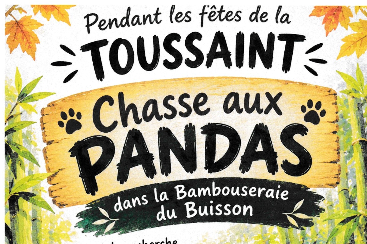 Chasse aux pandas l Jardin Plan Buisson