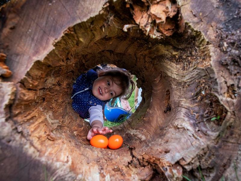 Châteaux en fête - Château de Bridoire