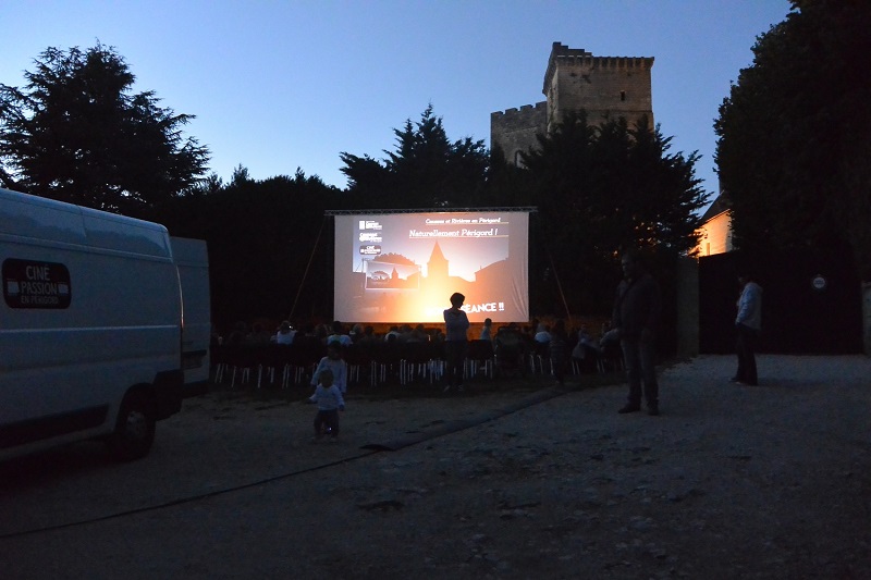 Cinéma de plein air - Toy Story 5