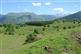 Le Turon de Técouère sur le pla ... - Crédit: @Sirtaqui Cf. Communauté des Communes de la Vallée d'Ossau