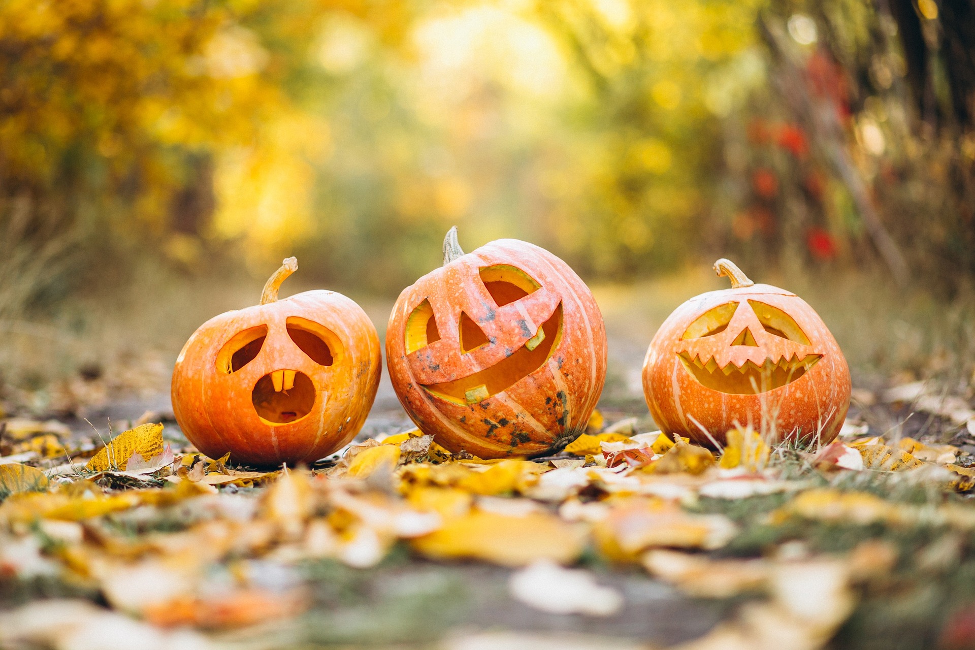 Lecture de contes d'Halloween 