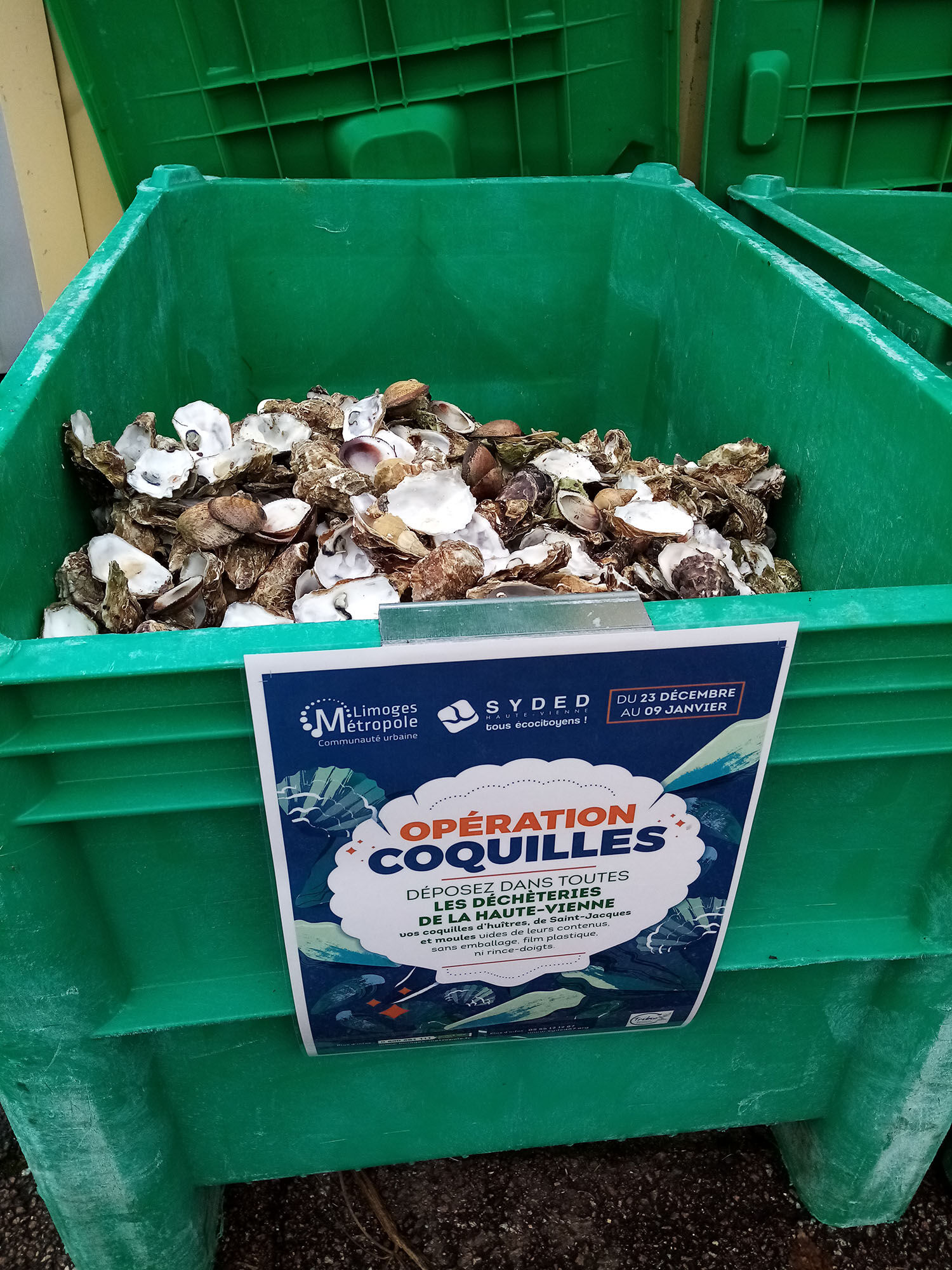 collecte de coquille