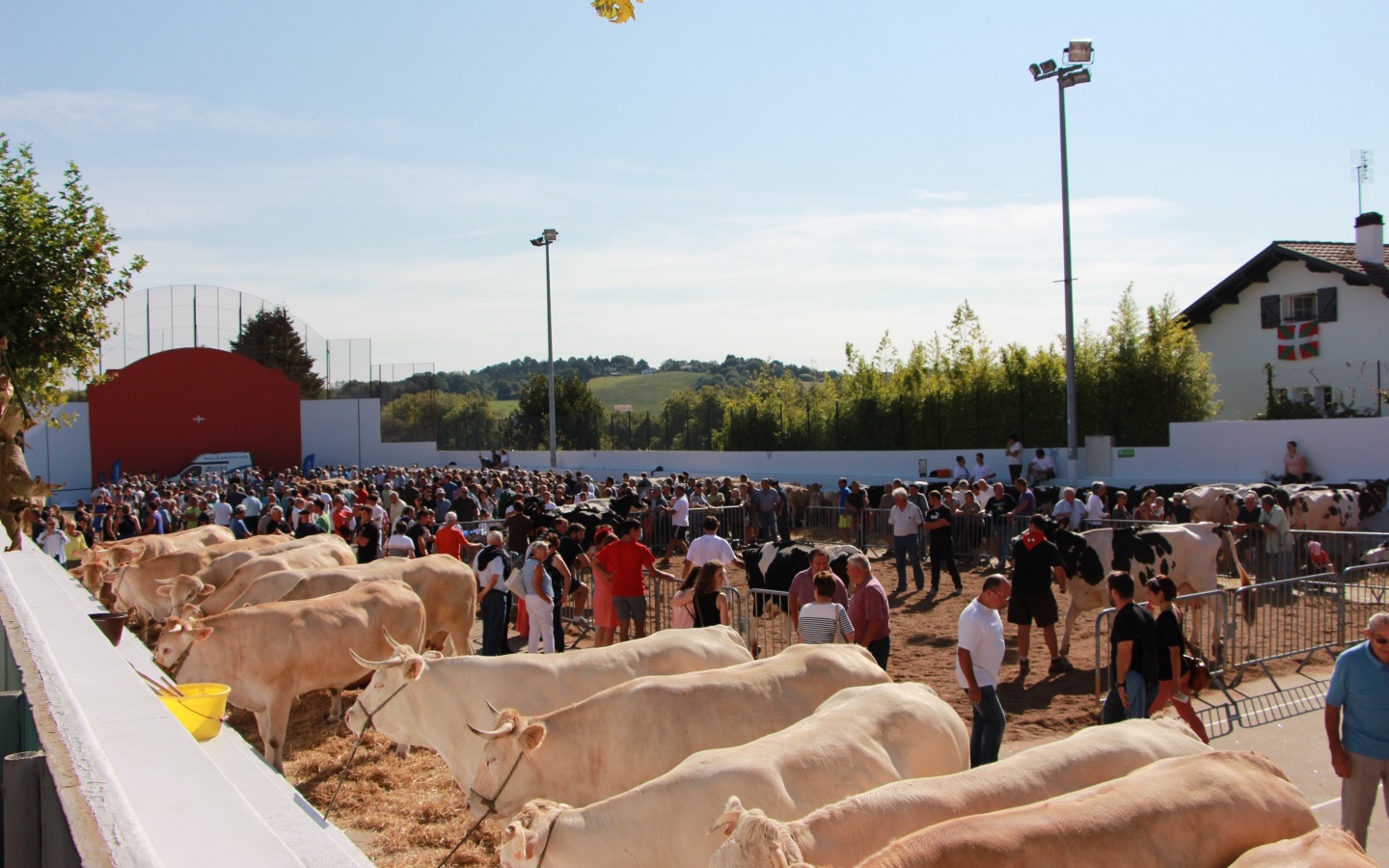Fêtes d'Urrugne